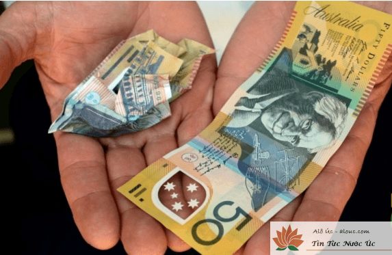 Báo động nạn Tiền giả tăng đột biến ở Úc: cách phân biệt tiền giả mệnh giá $50