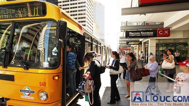 Hệ thống giao thông của Sydney khá hiện đại. Train thì gần như chính xác giờ chạy, bus thì thỉnh thoảng trễ vì tắc đường. Bạn có thể check giờ, chuyến train và bus thông qua app TripViewLite để chủ động trong việc đi lại. 