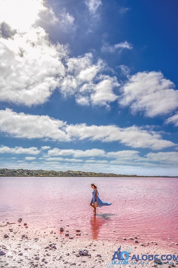Biển hồng lãng mạn ở Úc khiến chị em mê mẩn - 2