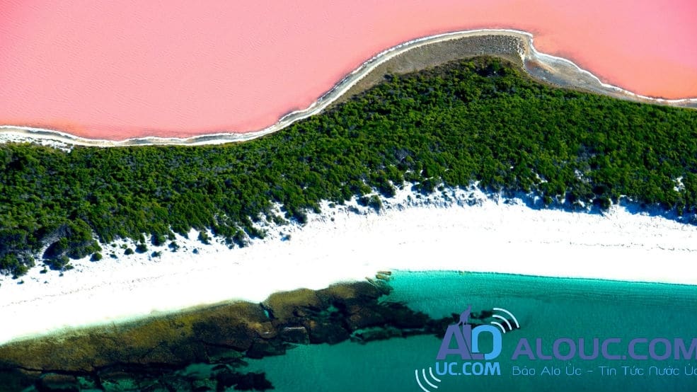 Biển hồng lãng mạn ở Úc khiến chị em mê mẩn - 10