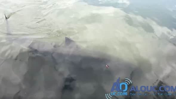 uc: het hon khi thay ca map trang boi vao san bay hinh anh 2