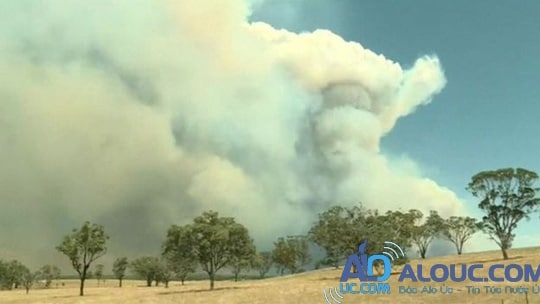 Hình ảnh khói dày đặc trong vụ cháy rừng ở bang New South Wales - Úc. Ảnh: Reuters