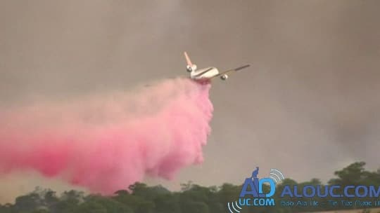 Máy bay chữa cháy rừng ở bang New South Wales - Úc. Ảnh: Reuters