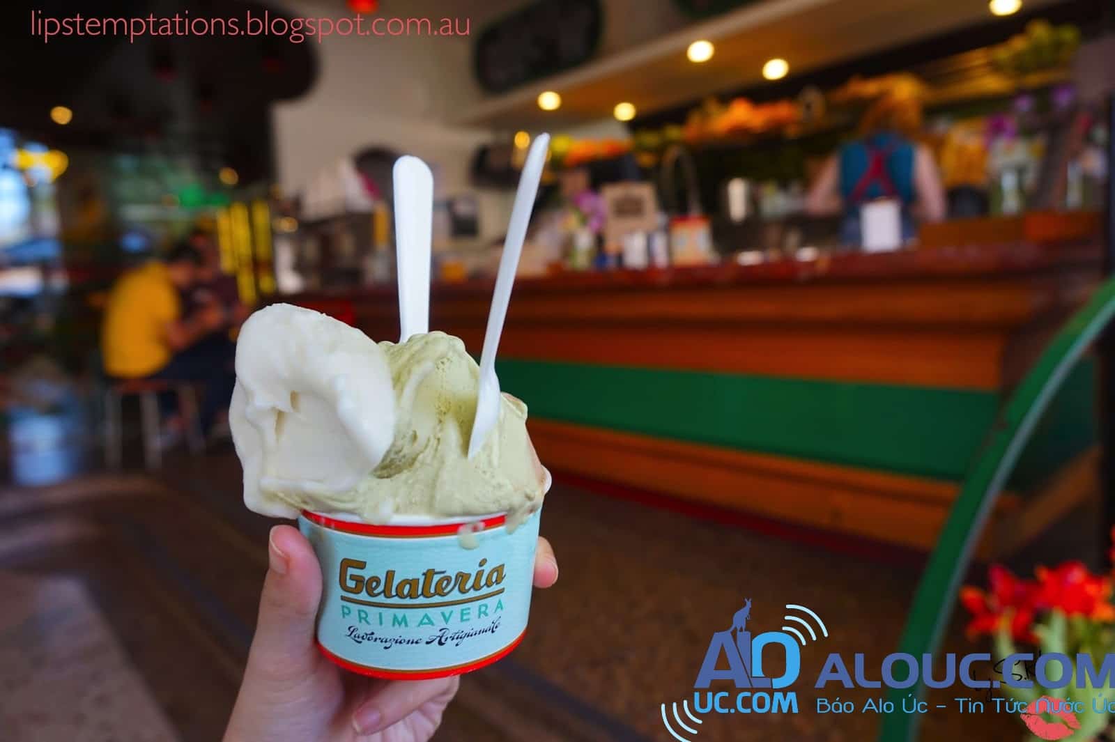 Kết quả hình ảnh cho Gelateria Primavera ice cream