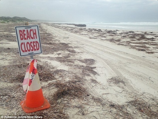 Bãi biển tạm đóng cửa. Ảnh: Nine News