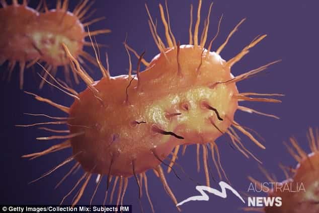 "Siêu khuẩn" cực nguy hiểm, gây bệnh lậu chống kháng sinh lây lan khắp nước Úc
