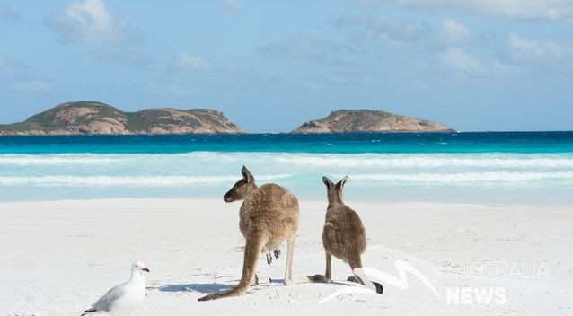 Bãi biển tại Úc xếp thứ 2 trong danh sách các bãi biển đẹp nhất thế giới
