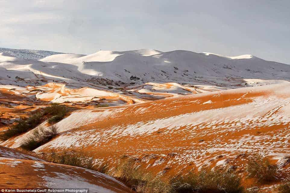 Thế giới lạnh siêu mạnh đến mức sa mạc Sahara nóng bỏng cũng bị tuyết phủ tới 40 cm - Ảnh 5.