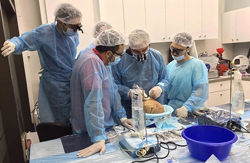 Học viên tại trung tâm đào tạo nha sĩ ở thủ đô Tel Aviv, Israel thực hành trên đầu người. Ảnh: Reuters. 