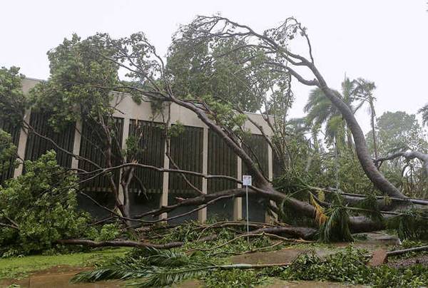 Một cây bị bật rễ do gió trong cơn bão nhiệt đới Marcus, nằm trên một tòa nhà ở Darwin - thủ phủ của Lãnh thổ Bắc Úc vào ngày 17/3/2018. Ảnh: AAP / Glenn Campbell