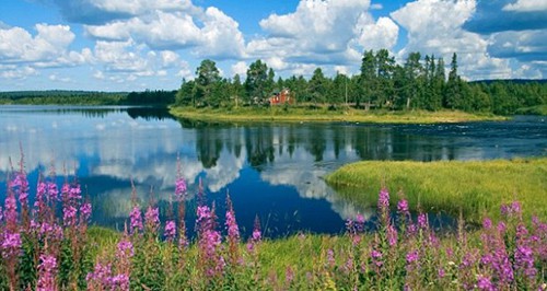 Khung cảnh mùa hè ở Phần Lan. Ảnh: Romaniajournal