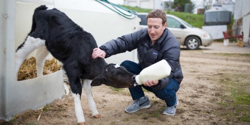 Năm 2017 Mark Zuckerberg dùng rất nhiều thời gian để đi du lịch.