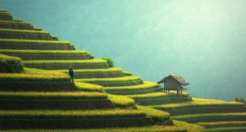 Việt Nam hấp dẫn khách quốc tế vì phong cảnh đẹp. Ảnh: Inspitrip.