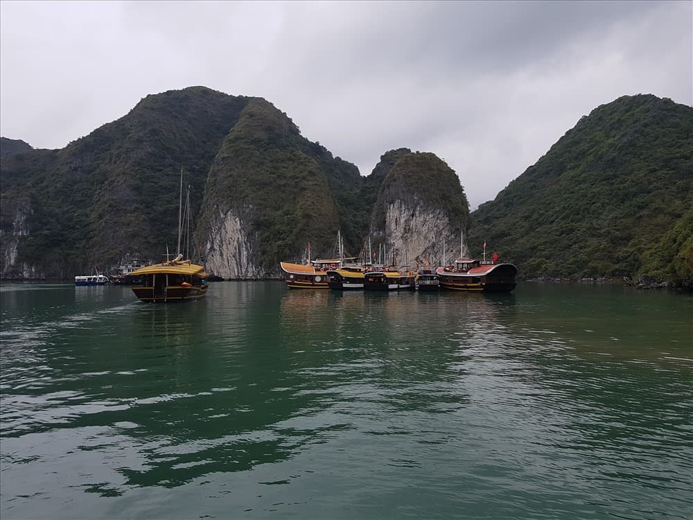 Tàu sơn màu nâu như thế này chỉ có ở Cát Bà. Ảnh: Lynne Ryan