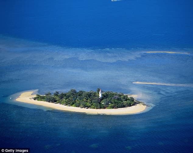Australia đóng 10 hòn đảo với du khách vì dịch chuột - 2
