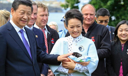 Úc: Bang Tasmania e ngại dự án 100 triệu USD của Trung Quốc - Ảnh 1.