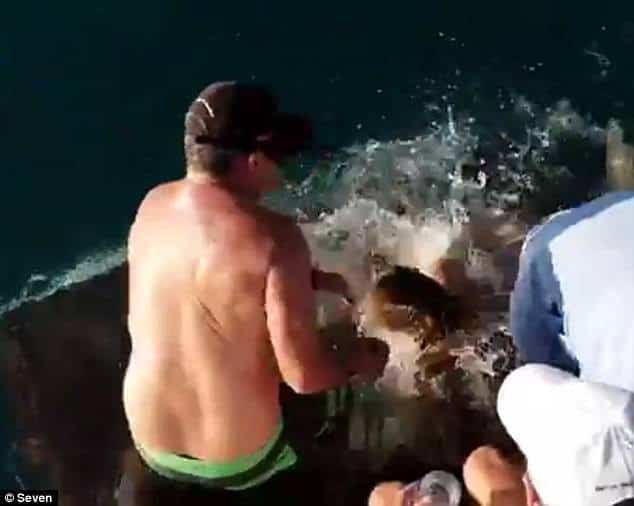 Úc: Thả thức ăn cho cá mập, cô gái bị ngoạm luôn ngón tay kéo xuống biển - Ảnh 4.