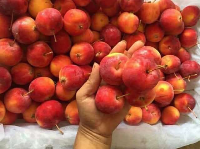 Trên thị trường, mùa táo cherry có từ tháng 9 đến khoảng tháng 11