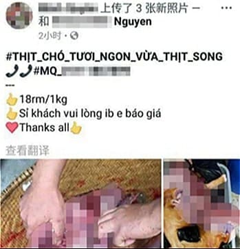Một đôi vợ chồng người Việt sống tại Malaysia quảng cáo bán thịt chó trên Facebook. Ảnh: NST
