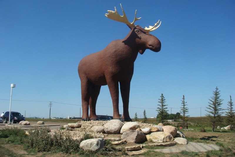  Bức tượng con nai sừng tấm Mac the Moose của thành phố Moose Jaw, Canada.