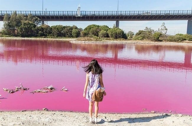 Hồ nước màu hồng ở Australia 
