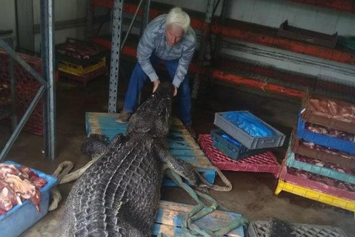 Thông tin mới khiến nhiều người tin con cá sấu khổng lồ ở Úc đã ăn thịt người - 4