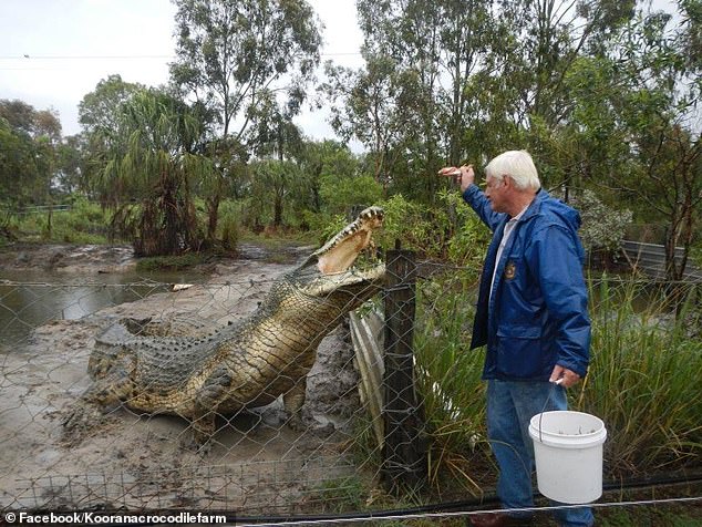 Thông tin mới khiến nhiều người tin con cá sấu khổng lồ ở Úc đã ăn thịt người - 3