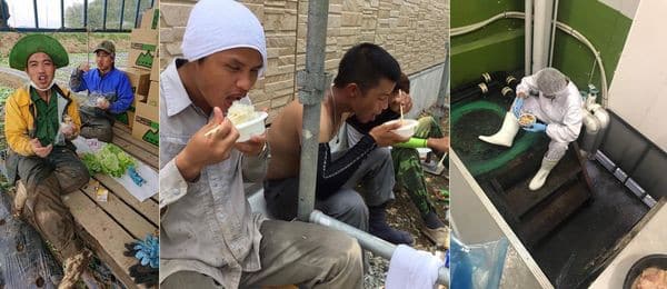 Đằng sau những tờ tiền người Việt ở Nhật gửi về quê: Bữa cơm toàn lạc với trứng, phơi thân giữa đường trong cái nóng 40 độ C - Ảnh 3.