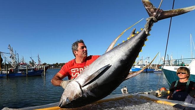 Úc 'giải cứu' thực phẩm xa xỉ, người dân được ăn bò wagyu, cá ngừ sashimi - ảnh 1