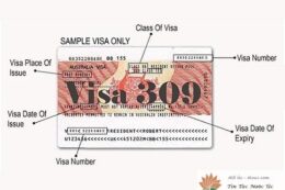 Visa 309