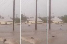 Báo thông tin Visa Du học, Du lịch, nhập định cư nước Úc