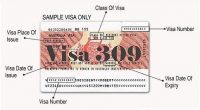 Visa 309