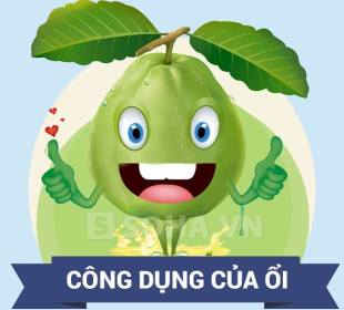 Báo thông tin Visa Du học, Du lịch, nhập định cư nước Úc