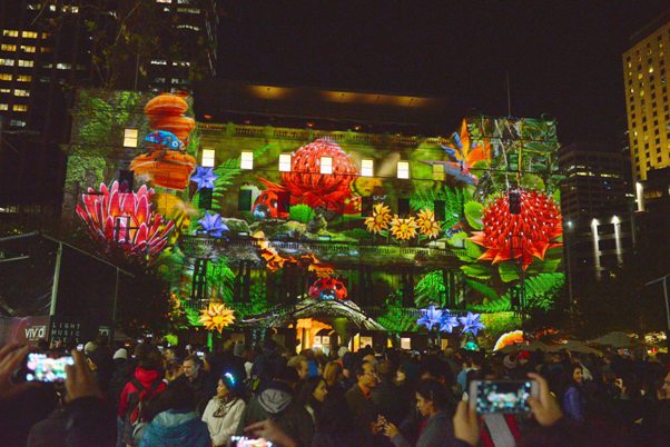 Mẹo nhổ lông gà vịt