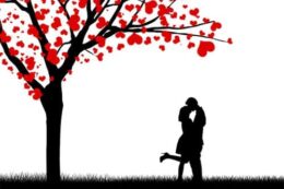 Báo tin tức Visa Du học, Du lịch, nhập định cư nước Úc