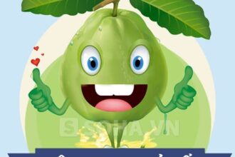 Báo thông tin Visa Du học, Du lịch, nhập định cư nước Úc