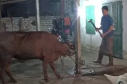 Báo thông tin Visa Du học, Du lịch, nhập định cư nước Úc