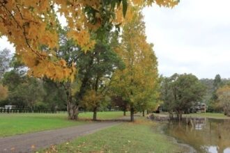 Báo thông tin Visa Du học, Du lịch, nhập định cư nước Úc