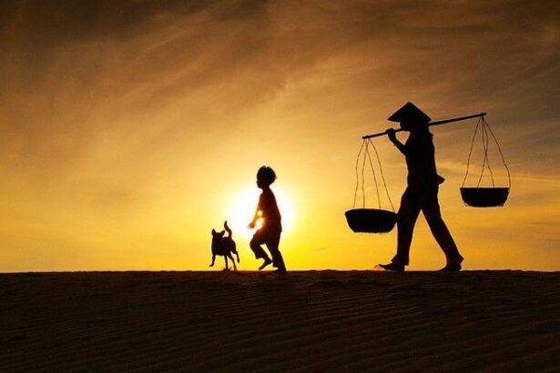 báo úc - Con sẽ trở về