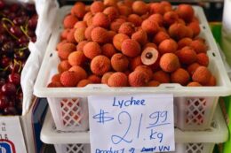 Người dân Australia thích thú với vải thiều Việt Nam