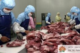 Việc làm tại Úc