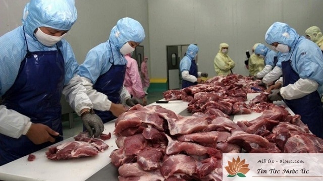 Việc làm tại Úc