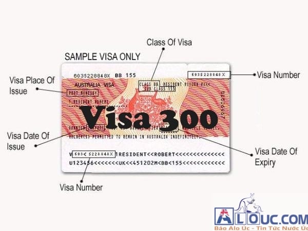 visa-300