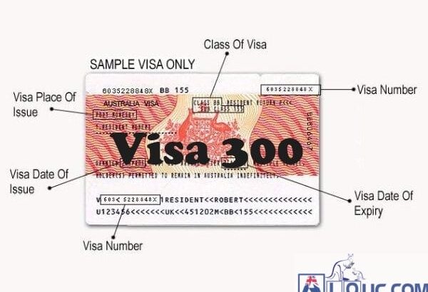 visa-300