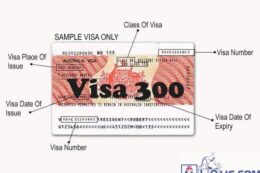visa-300