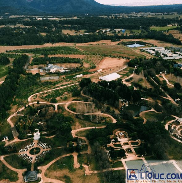 Ngắm nhìn vườn nho vùng Hunter Valley