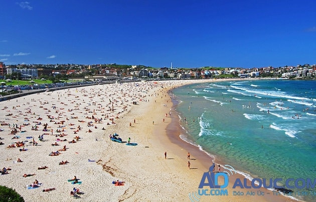 Kết quả hình ảnh cho beach in sydney australia