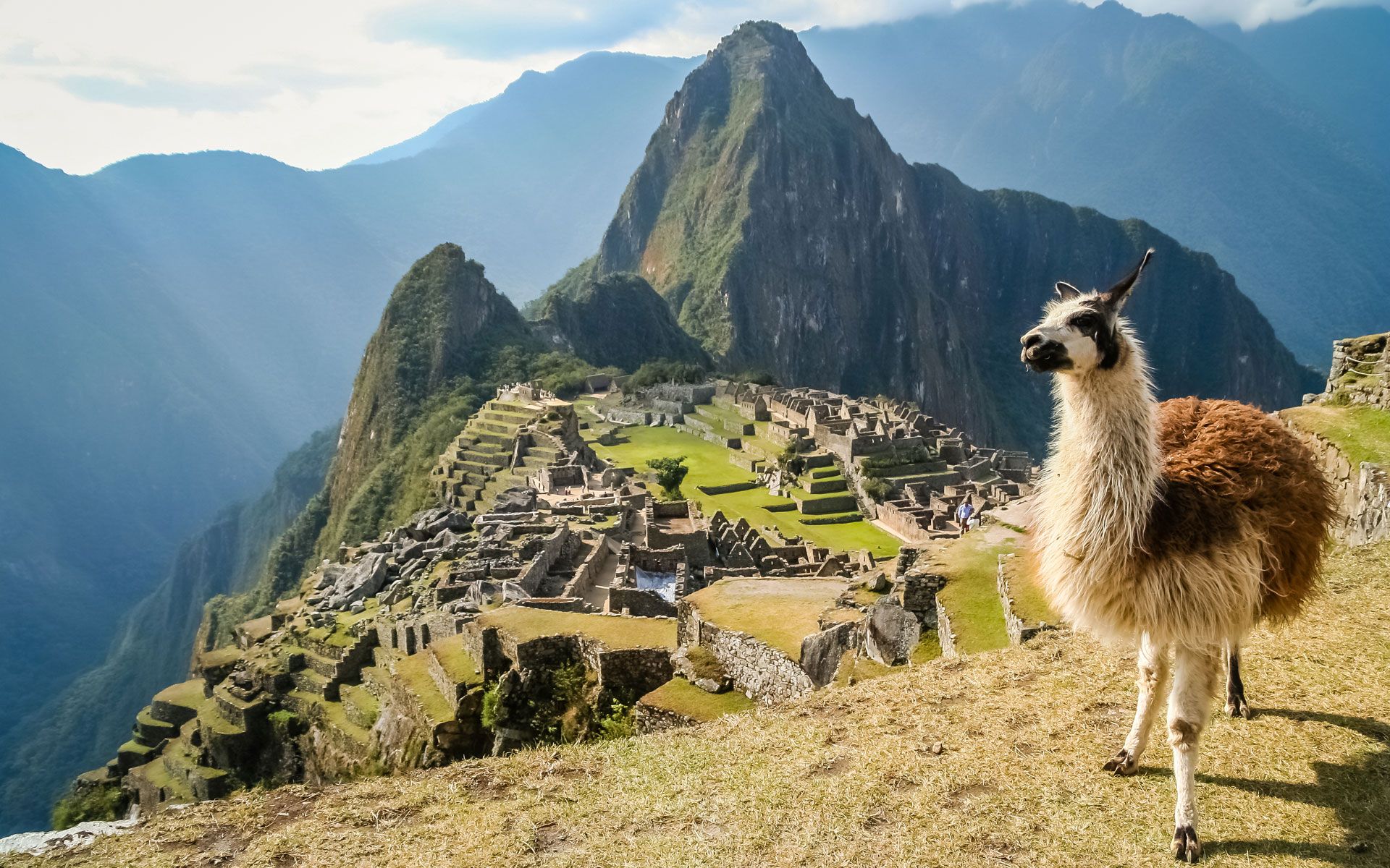 Kết quả hình ảnh cho Peru