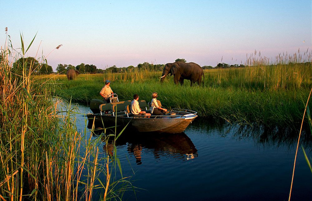 Kết quả hình ảnh cho Okavango
