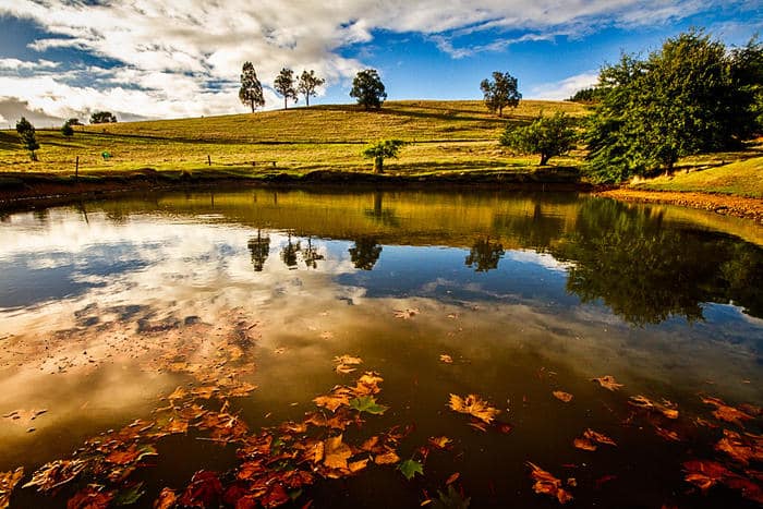 Golden Valley Tree Park, Balingup
